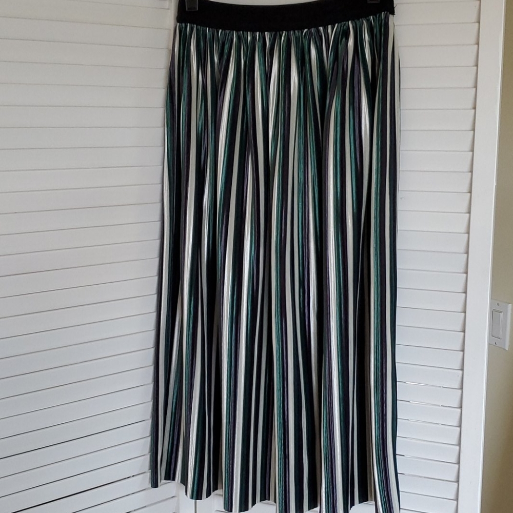 Zara Skirt